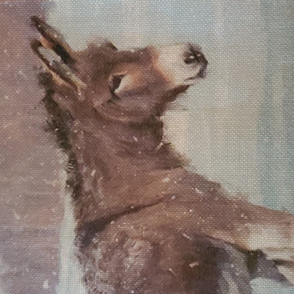 Donkey Pillow Cover Donkey Pillow Case Donkey Cushion Burro Pillow Asno Bin #9 - Picture 5 of 11